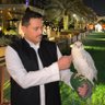 عبدالله بن ممدوح ال عبدالسلام 的头像