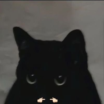 calypso's profile picture