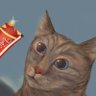 Фото профиля NᵔoᵔKkY(=^ᴥ^=)
