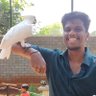 Naveen நவீன் 🇮🇳's profile picture