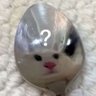 Profilbild von Silver Practice