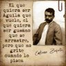 Martín Soriano 的头像