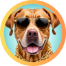 Profilbild von Benji Ganar