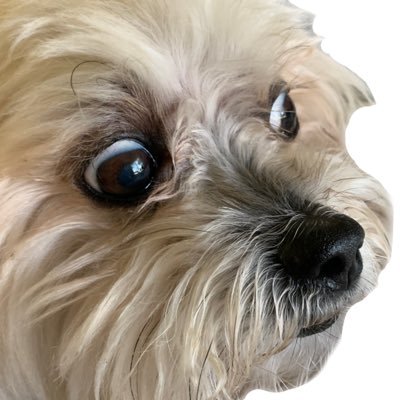 appleciderthyme's profile picture