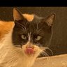 sultan profil fotoğrafı