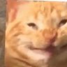 Googoogaga's profile picture