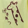 ファイ's profile picture