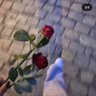 Basma🇪🇬's profile picture