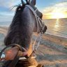 Hazem profil fotoğrafı