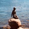 Sireni profil fotoğrafı