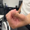わんだー 的头像