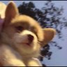 9849zz's profile picture
