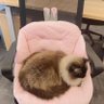 Фото профиля hwj
