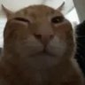 buh's profile picture