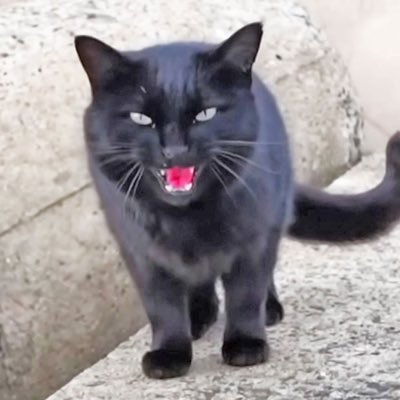 KUROCHANch's profile picture