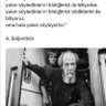 Kuzey ışıkları profil fotoğrafı
