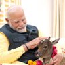 Profilbild von VIJAYA JI SANATANI