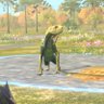 MH profil fotoğrafı