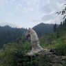 Фото профиля PUKHTOON NATIONAL FROUNT (پختون نیشنل فرنٹ)