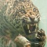 Atul Kumar's profile picture