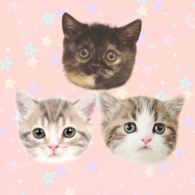 しずわらひなた's profile picture