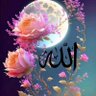 عبد الكريم الصالح's profile picture