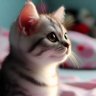 Profilbild von 猫の手