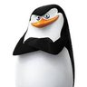 mashedspud's profile picture