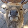 Jay's profile picture