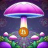 cryptoshroom 🍄🍉 profil fotoğrafı