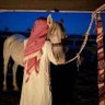 مُخّرج شعر's profile picture