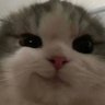 Profilbild von ˚˖𓍢ִ໋🌷͙֒✧˚.🎀༘⋆ Jinxx