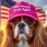 Tifdawg profil fotoğrafı