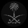 أبو سليمان 🇸🇦's profile picture