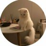 viki profil fotoğrafı