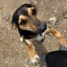 Profilbild von Doña Tika