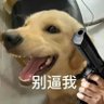 尼桑 的头像