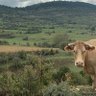 KAPAL profil fotoğrafı
