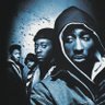 The Juice's profile picture