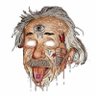 Trevi Xicote's profile picture