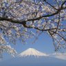 Фото профиля 晴耕雨読に憧れる男