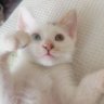 ceren akca_35 profil fotoğrafı