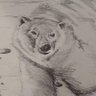 Jude Westgate 的头像