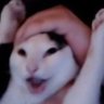Gatoagrio 的头像