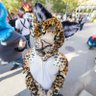 Фото профиля Footrest🐾RaindropTheJaguar🐾Pawlover