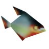 Cool_maybe's profile picture