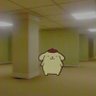 Profilbild von Paul