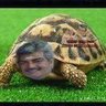 ஆமை காவலன் 🐢 profil fotoğrafı