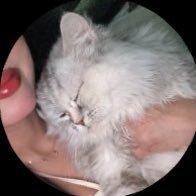 nowf4531's profile picture