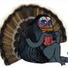Фото профиля TurkeysDunn